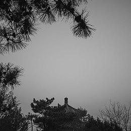 互动影游《新世界：暗影成双》Steam页面开放 发行日期待定